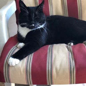 Meet your Posher, Lucy